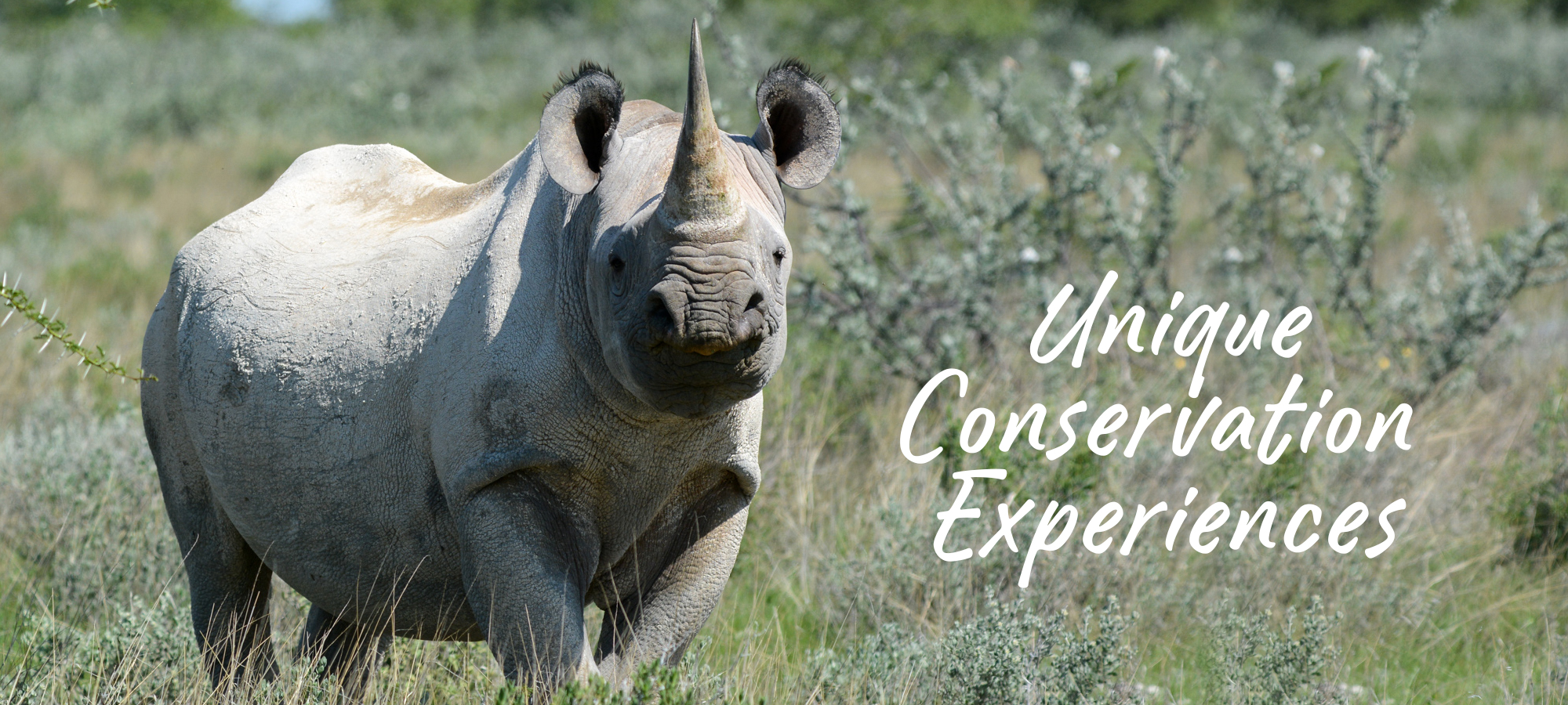 Nature Travel Conservation